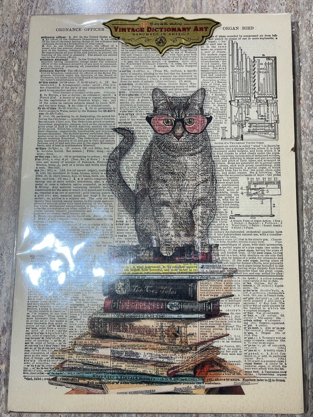 Scholarly Cat Art Print with Pink Glasses